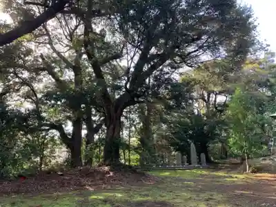 宗像神社(千葉県)