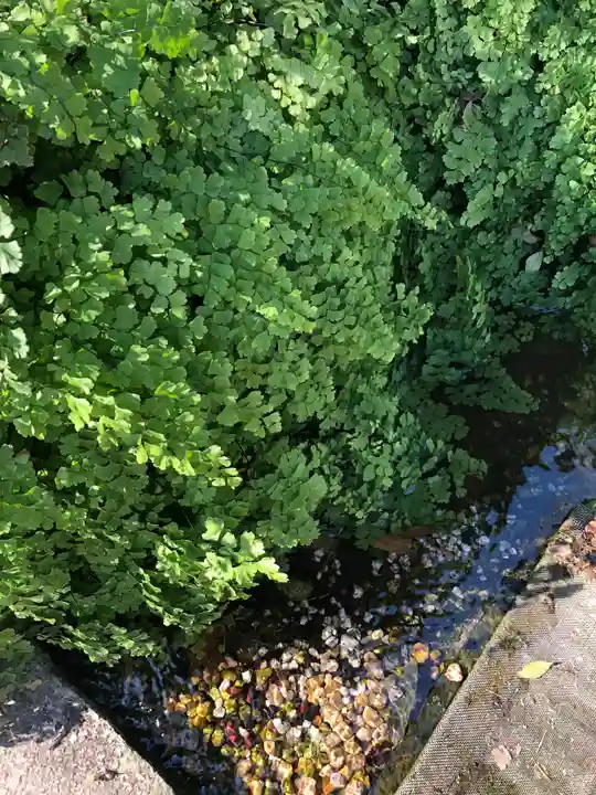 馬橋稲荷神社の庭園