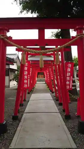 於菊稲荷神社の鳥居