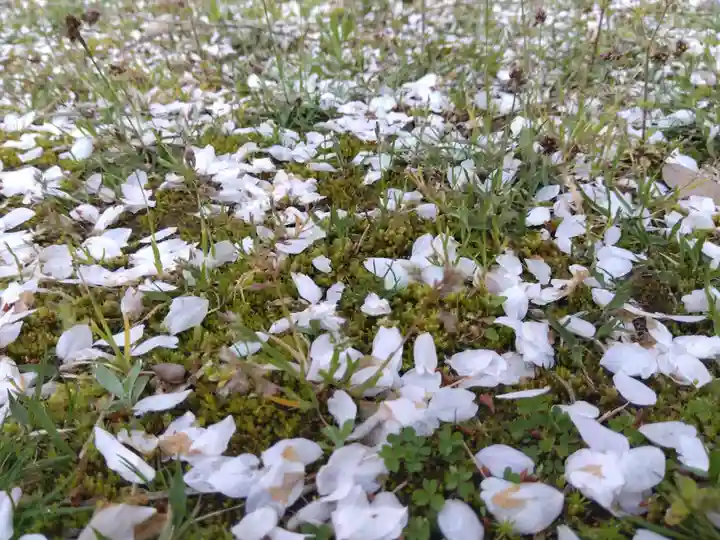 足羽神社(福井県)