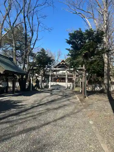 新琴似神社(北海道)