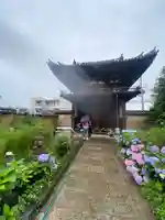 般若寺 ❁コスモス寺❁(奈良県)