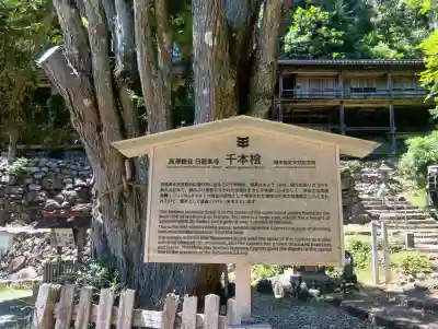 日龍峯寺(高澤観音)(美濃清水)(岐阜県)