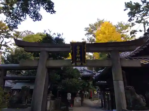 白雲神社(京都府)