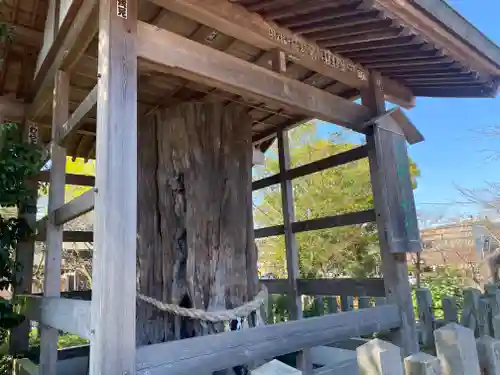 阿蘇神社(熊本県)