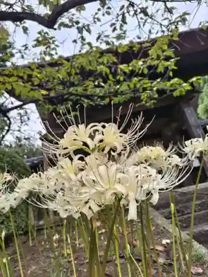 横浜　西方寺(神奈川県)