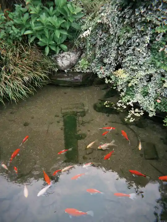 石母田 三吉神社(福島県)