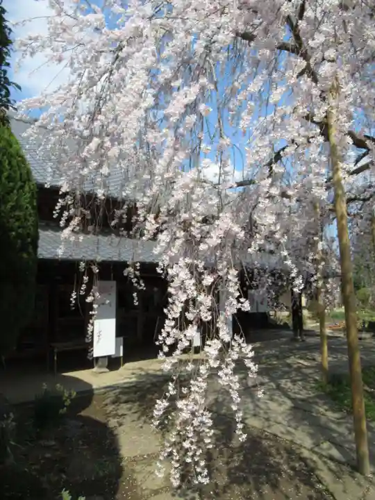 慶龍寺(茨城県)