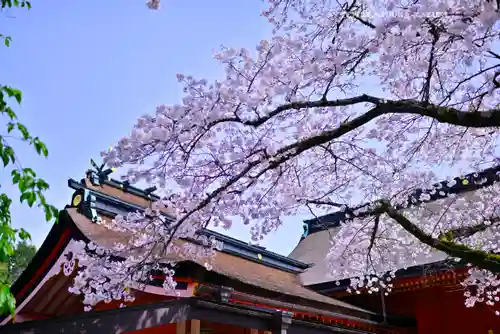 富士山本宮浅間大社(静岡県)