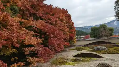 実相院門跡(京都府)
