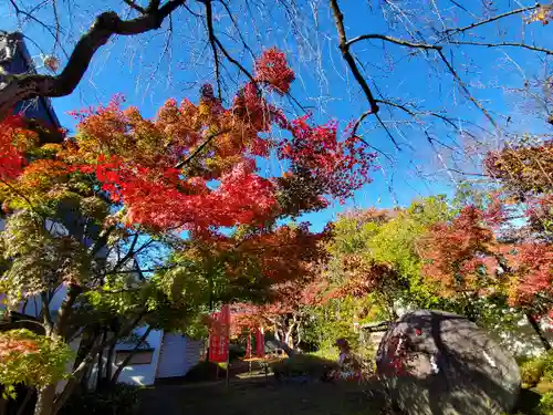 萬寿神社の自然