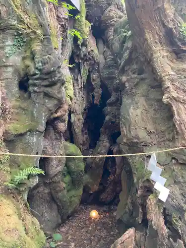 來宮神社(静岡県)