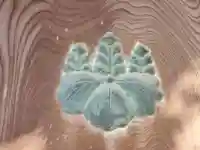 報恩寺のその他建物