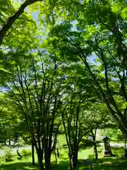 土津神社｜こどもと出世の神さまの自然