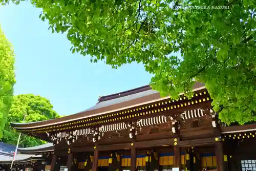 明治神宮(東京都)