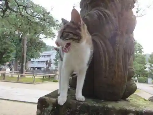 智恩寺(京都府)