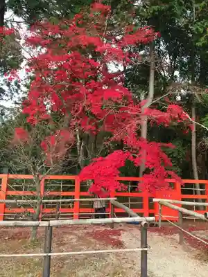 賀茂別雷神社（上賀茂神社）のその他建物