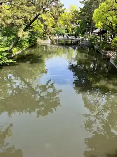 住吉大社の{uncategorized: "未分類", other: "その他", undefined: "問題あり", building: "その他建物", grave: "お墓", sacred_gate: "鳥居", guardian: "狛犬", statue: "像", buddha: "仏像", history: "歴史", nature: "自然", garden: "庭園", animal: "動物", pagoda: "塔", temizu: "手水舎", mountain_gate: "山門・神門", sanctuary: "本殿・本堂", subordinate: "末社・摂社", art: "芸術", scenery: "景色", jizo: "地蔵", ema: "絵馬", goshuin: "御朱印", omikuji: "おみくじ", items: "授与品その他", amulet: "お守り", goshuincho: "御朱印帳", eats: "食事", festival: "お祭り", votive_dance: "神楽", shichigosan: "七五三参", wedding: "結婚式", experience: "体験その他", initially: "初詣", around: "周辺", anti_infection: "感染症対策"}