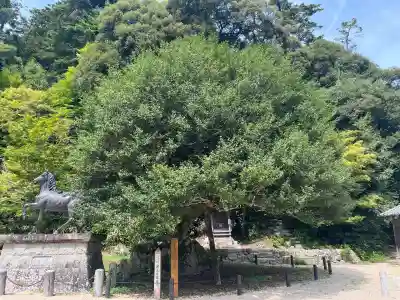山王宮日吉神社(京都府)