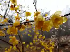 石稲荷神社(茨城県)