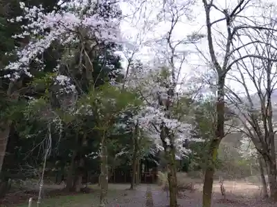 白龍神社(福井県)
