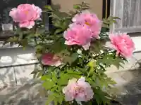 梅香寺(三重県)