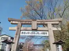 安井金比羅宮の鳥居