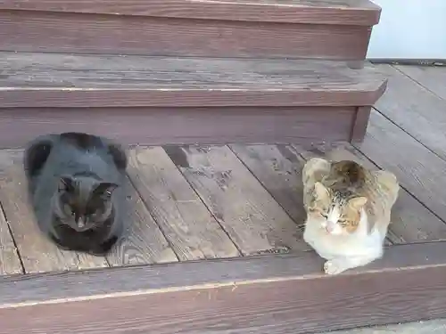 妙宣寺(広島県)