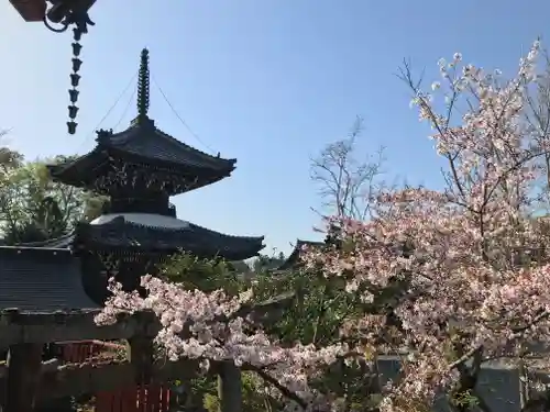 穴太寺のその他建物