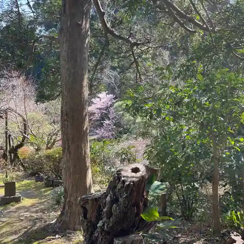 光則寺(神奈川県)