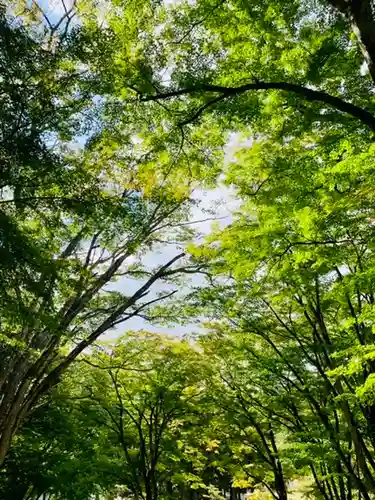 土津神社｜こどもと出世の神さまの庭園