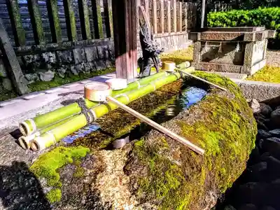 尾張八幡神社の手水舎