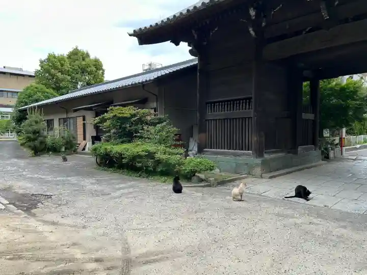 瑞巌寺の{uncategorized: "未分類", other: "その他", undefined: "問題あり", building: "その他建物", grave: "お墓", sacred_gate: "鳥居", guardian: "狛犬", statue: "像", buddha: "仏像", history: "歴史", nature: "自然", garden: "庭園", animal: "動物", pagoda: "塔", temizu: "手水舎", mountain_gate: "山門・神門", sanctuary: "本殿・本堂", subordinate: "末社・摂社", art: "芸術", scenery: "景色", jizo: "地蔵", ema: "絵馬", goshuin: "御朱印", omikuji: "おみくじ", items: "授与品その他", amulet: "お守り", goshuincho: "御朱印帳", eats: "食事", festival: "お祭り", votive_dance: "神楽", shichigosan: "七五三参", wedding: "結婚式", experience: "体験その他", initially: "初詣", around: "周辺", anti_infection: "感染症対策"}