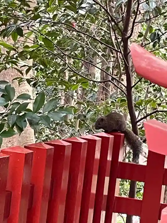 鶴岡八幡宮(神奈川県)