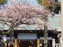 伊勢山皇大神宮の鳥居