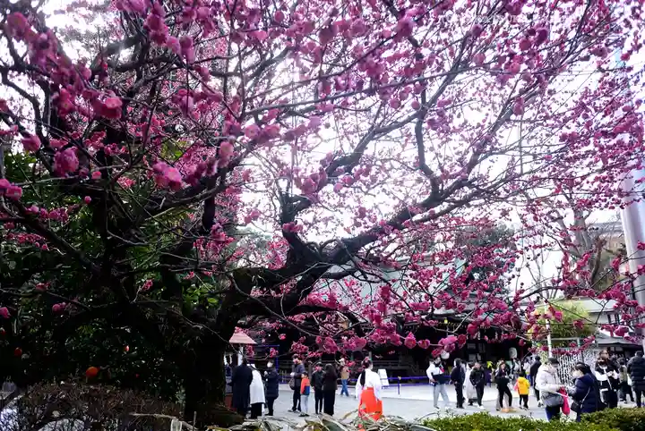 大國魂神社(東京都)