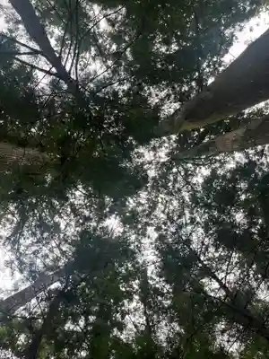 小國神社の自然