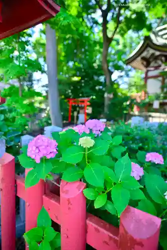 川越八幡宮(埼玉県)
