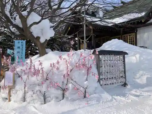 厚別神社(北海道)