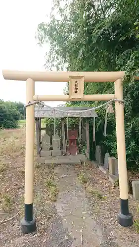 大杉神社(茨城県)