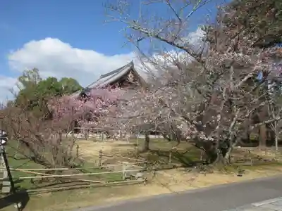 仁和寺(京都府)
