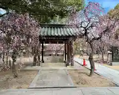 屯倉神社の手水