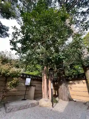 法起院(奈良県)