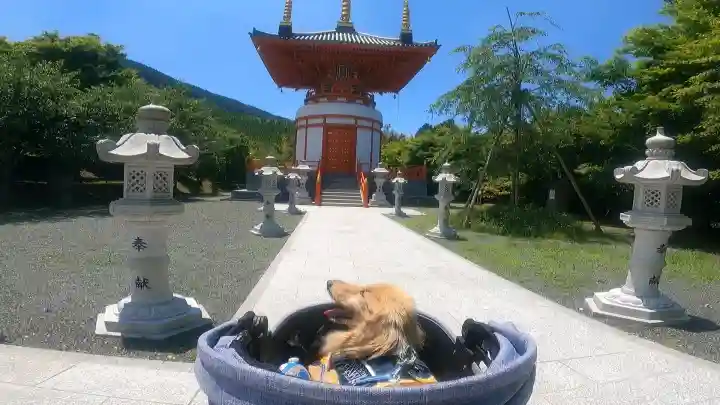 呑山観音寺(福岡県)