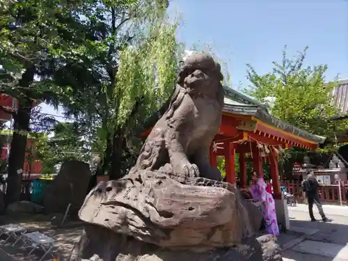 浅草神社の狛犬