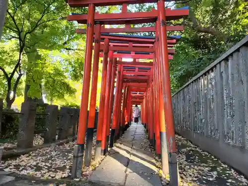 根津神社の鳥居