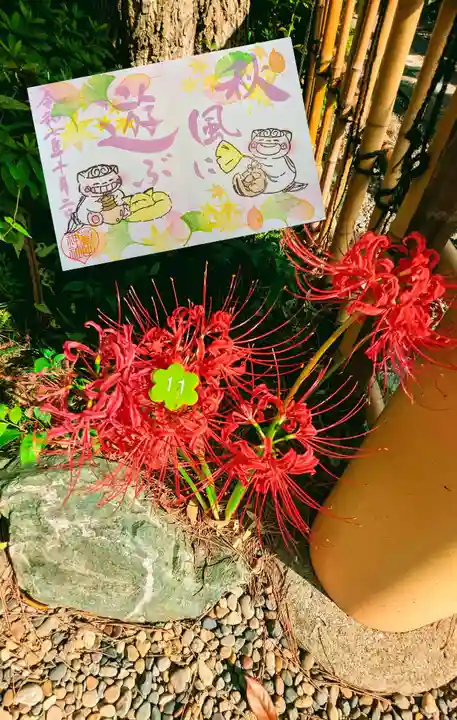 菊田神社の御朱印