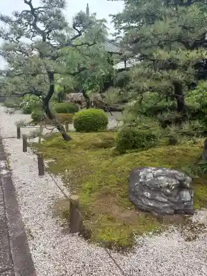 崇福寺の{uncategorized: "未分類", other: "その他", undefined: "問題あり", building: "その他建物", grave: "お墓", sacred_gate: "鳥居", guardian: "狛犬", statue: "像", buddha: "仏像", history: "歴史", nature: "自然", garden: "庭園", animal: "動物", pagoda: "塔", temizu: "手水舎", mountain_gate: "山門・神門", sanctuary: "本殿・本堂", subordinate: "末社・摂社", art: "芸術", scenery: "景色", jizo: "地蔵", ema: "絵馬", goshuin: "御朱印", omikuji: "おみくじ", items: "授与品その他", amulet: "お守り", goshuincho: "御朱印帳", eats: "食事", festival: "お祭り", votive_dance: "神楽", shichigosan: "七五三参", wedding: "結婚式", experience: "体験その他", initially: "初詣", around: "周辺", anti_infection: "感染症対策"}