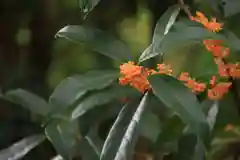 開成山大神宮の自然