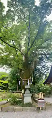 武田神社の末社・摂社
